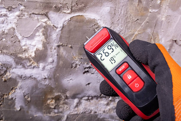 Certified Mold Removal in Watertown, TN